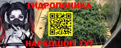 мяу мяу мука Ижевск
