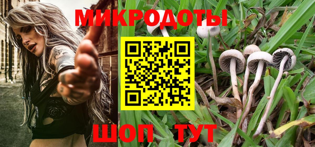 Псилоцибиновые грибы мухоморы Норильск
