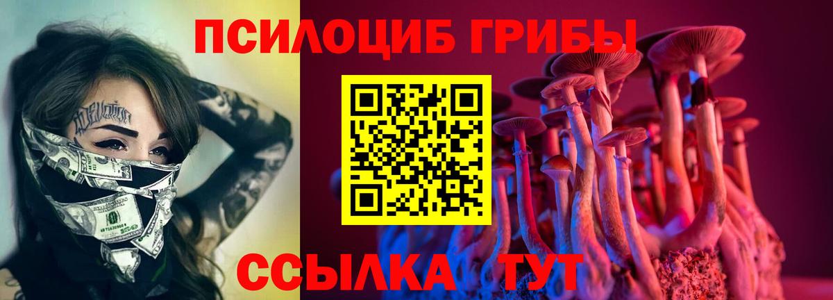 Псилоцибиновые грибы Magic Shrooms  Вход с VPN  Норильск 